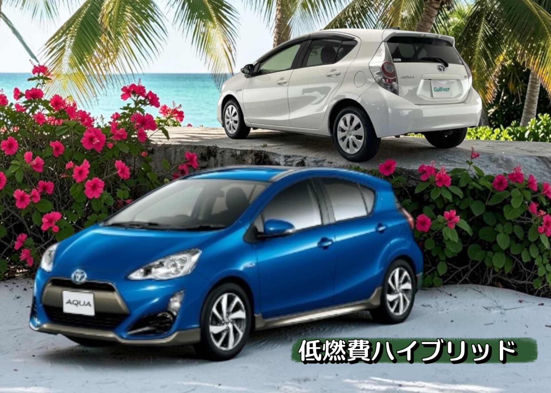 🚙石垣港離島碼頭、郵輪岸邊、國際港口免費接送，機場、飯店有配合，車載來可以放別位還